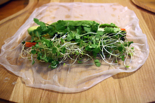 Spring rolls Spring rolls